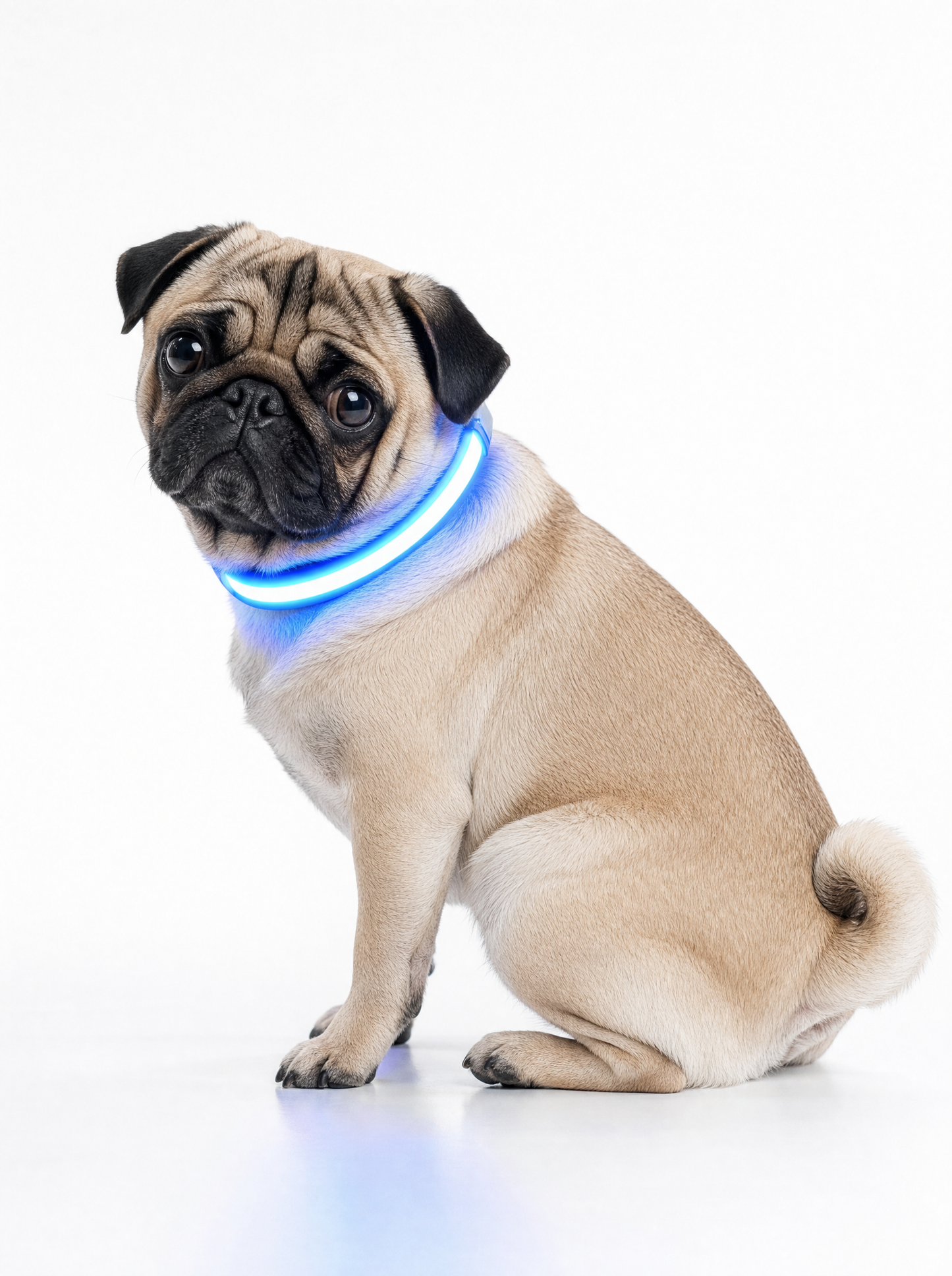 MILU NightGuard™ — Luminous Safety Collar