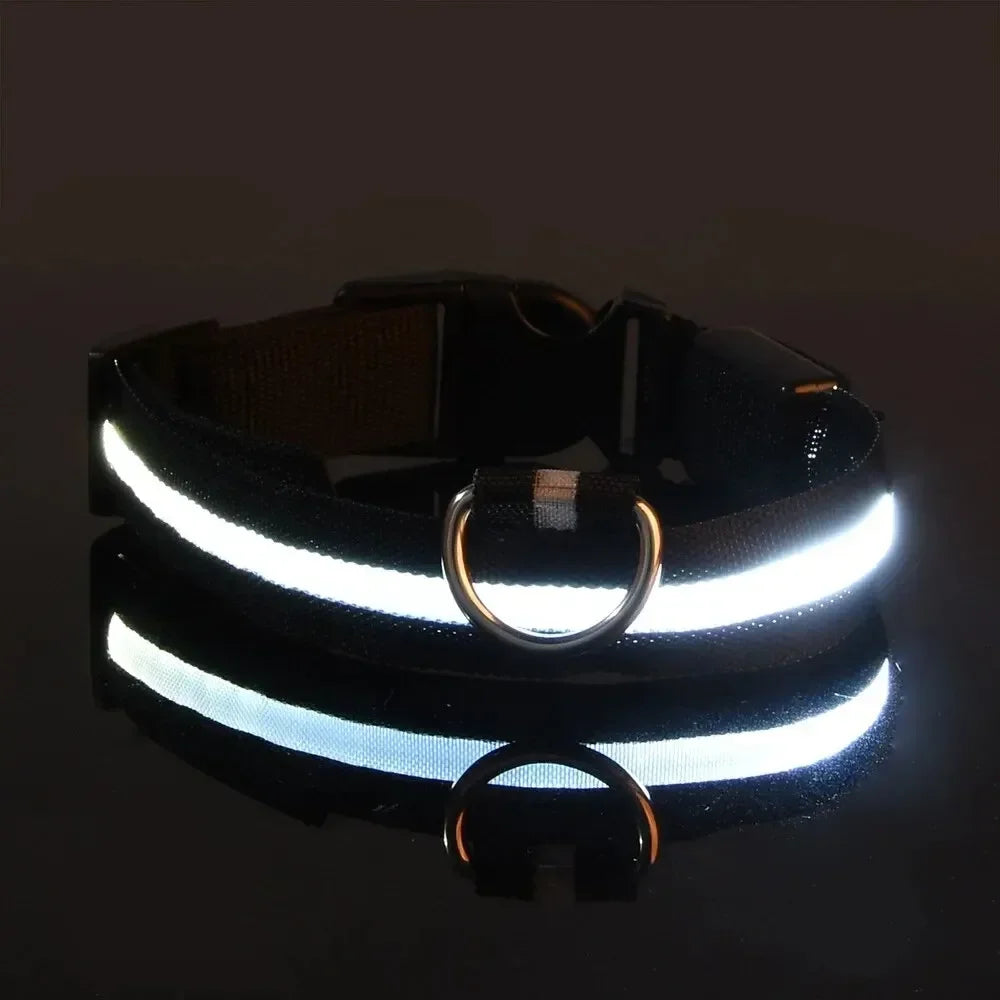 MILU NightGuard™ — Luminous Safety Collar