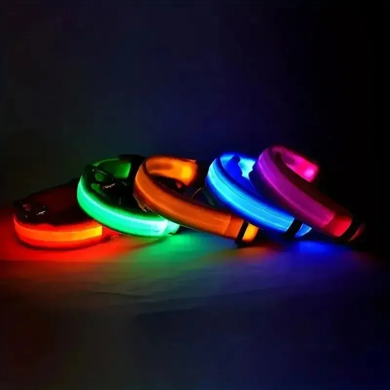 MILU NightGuard™ — Luminous Safety Collar
